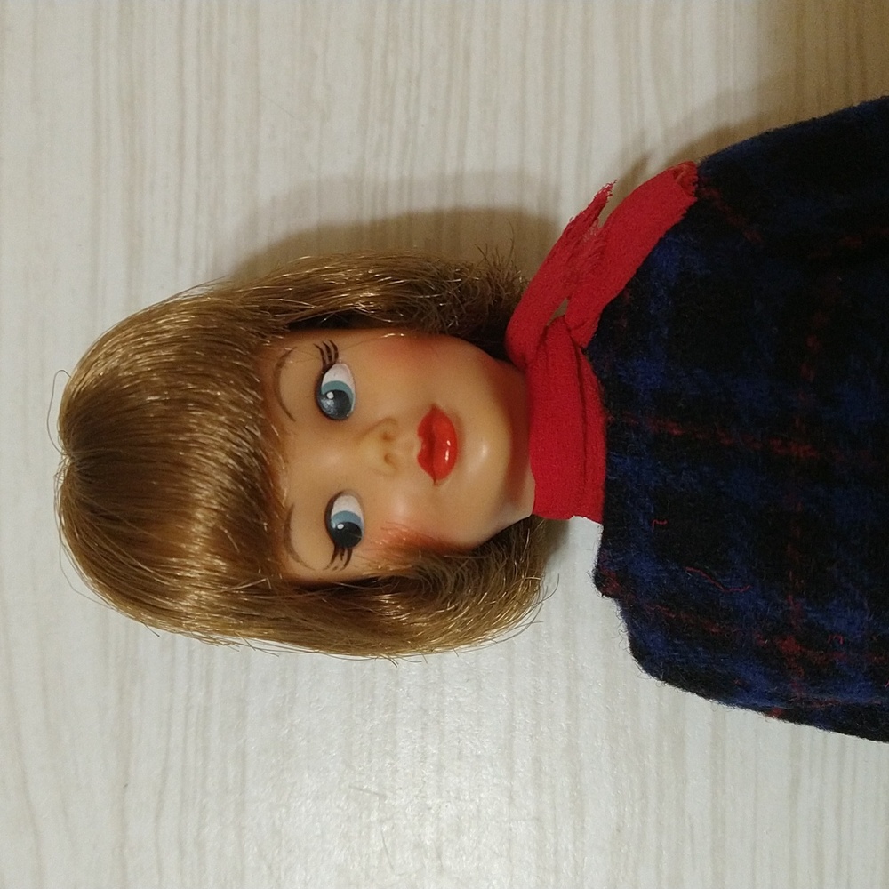 Vintage 1965 Ideal Tammy Walking Her Pet Plaid Top With Charm & Red Pak Skirt - Picture 3 of 10